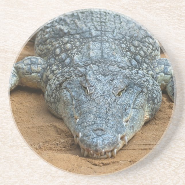 Crocodile Coaster (Front)