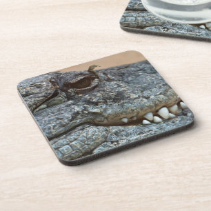 Crocodile Coaster