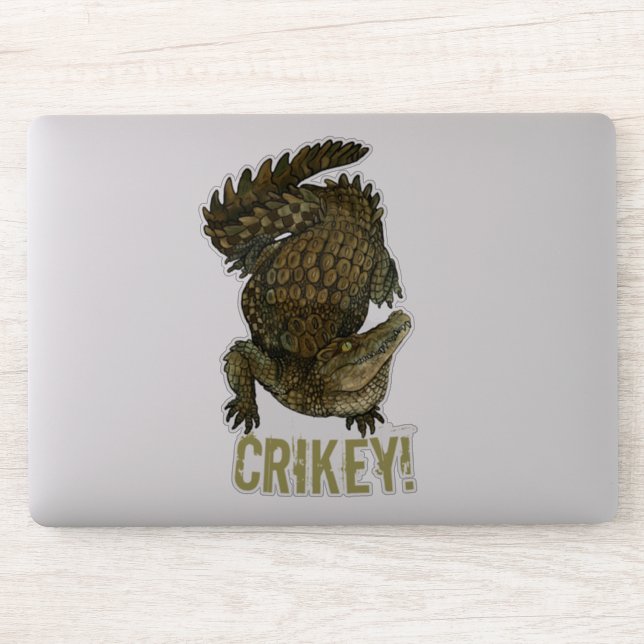 Crocodile Crikey! (Computer)