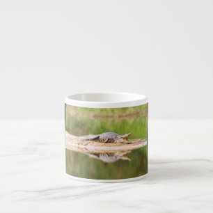 Crocodile Espresso Cup