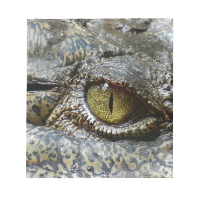 crocodile eye face animal custom personalise diy notepad (Front)