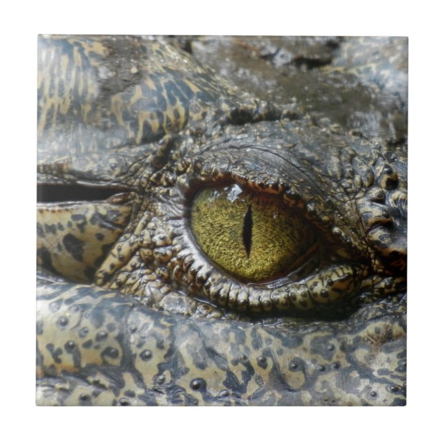 crocodile eye face animal custom personalise diy tile (Front)