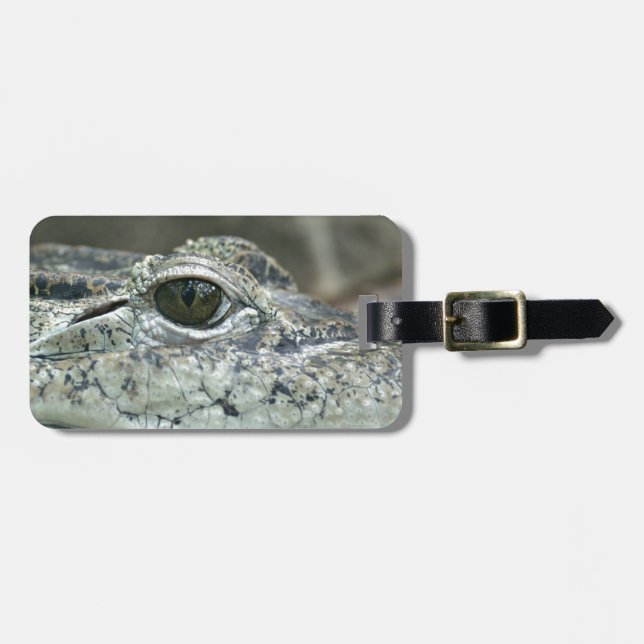 Crocodile Eye Luggage Tag (Front Horizontal)
