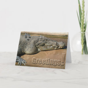 Crocodile Greetings Card