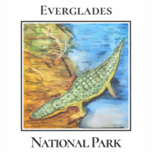 Crocodile in Everglades National Park