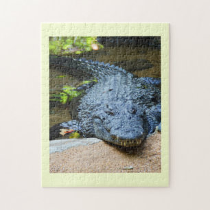 Crocodile Jigsaw Puzzle