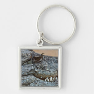 Crocodile Key Ring
