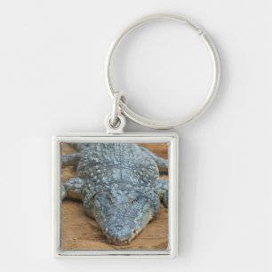 Crocodile Key Ring