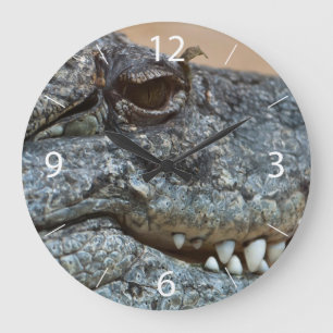 Crocodile Large Clock