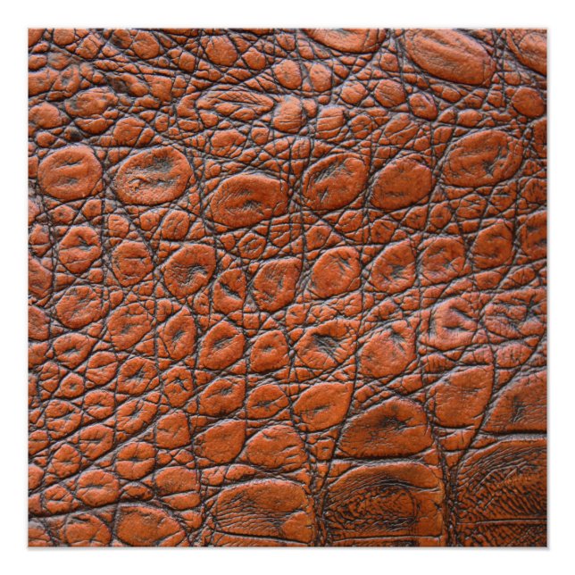 crocodile leather fake look poster (Front)