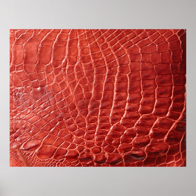 Crocodile leather texture poster (Front)