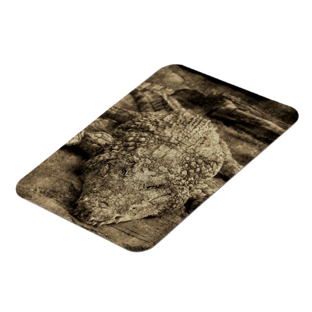 Crocodile Magnet (Left Side)