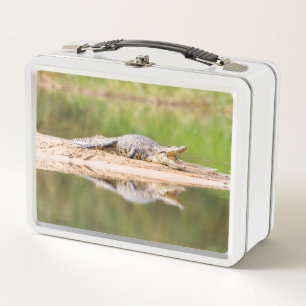 Crocodile Metal Lunch Box