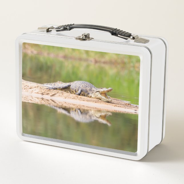 Crocodile Metal Lunch Box (Front)