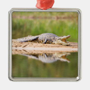 Crocodile Metal Ornament