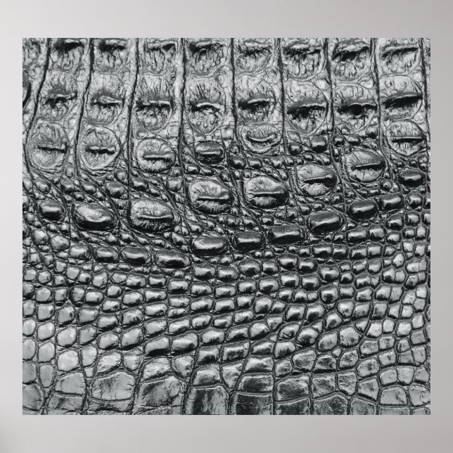 Crocodile Noir: Black Leather Mystique Poster (Front)