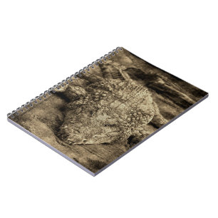 Crocodile Notebook