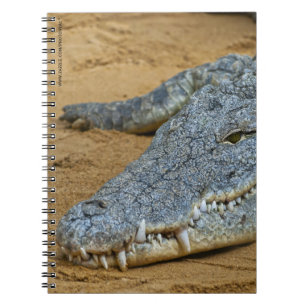 Crocodile Notebook