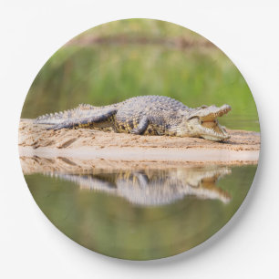 Crocodile Paper Plate
