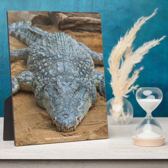 Crocodile Plaque (Side)
