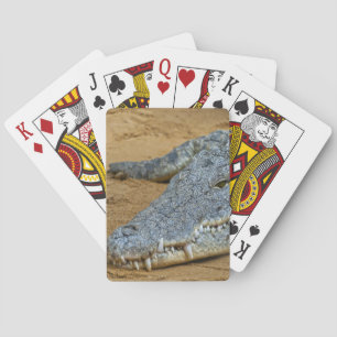 Crocodile Playing Cards
