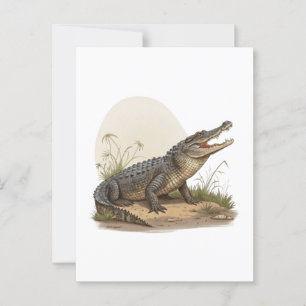 Crocodile Postcard