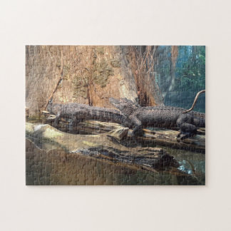 Crocodile Puzzle 