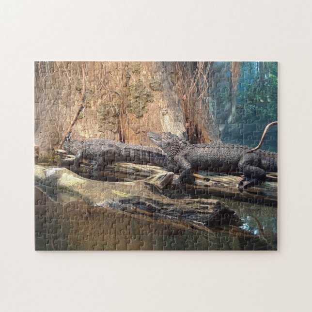 Crocodile Puzzle  (Horizontal)