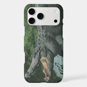 Crocodile Reptiles, Vintage Marine Animal Life