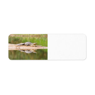 Crocodile Return Address Label