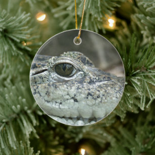 Crocodile Smile Ornament