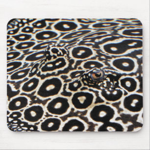 Crocodile stingrayのマウスパッド mouse pad