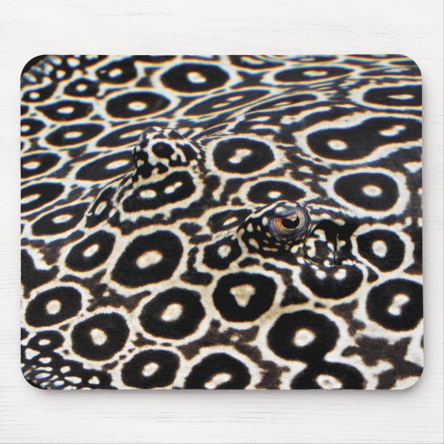 Crocodile stingrayのマウスパッド mouse pad (Front)