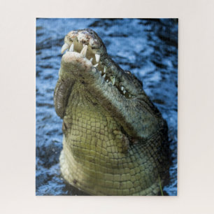Crocodile Teeth Water Jigsaw Puzzle