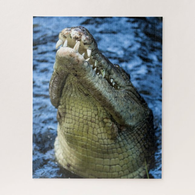 Crocodile Teeth Water Jigsaw Puzzle (Vertical)