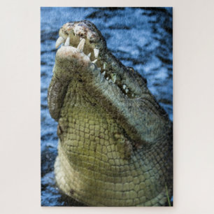 Crocodile Teeth Water Jigsaw Puzzle