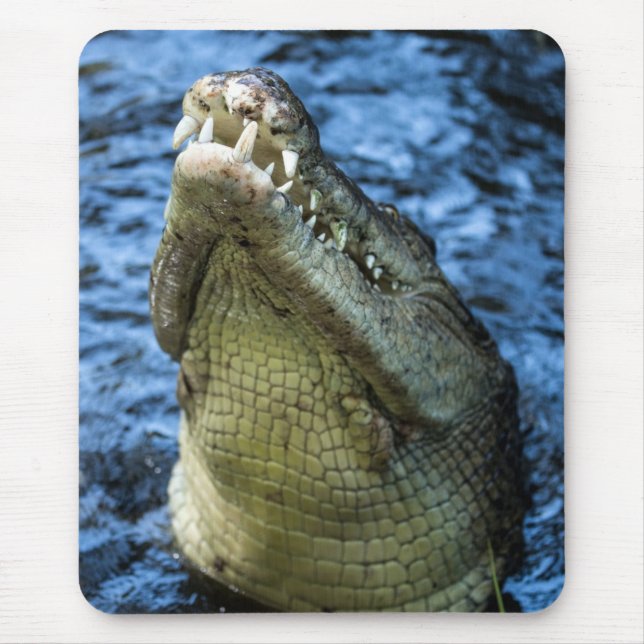 Crocodile Teeth Water Mouse Pad (Front)