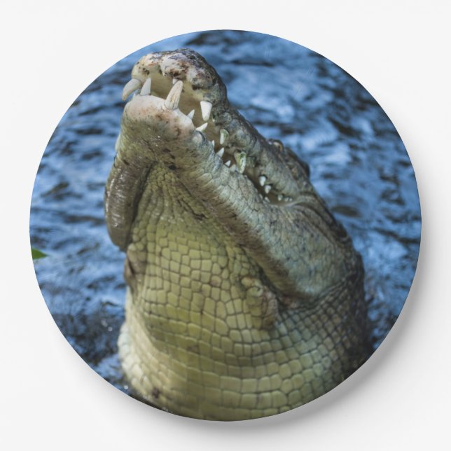 Crocodile Teeth Water Paper Plate (Front)