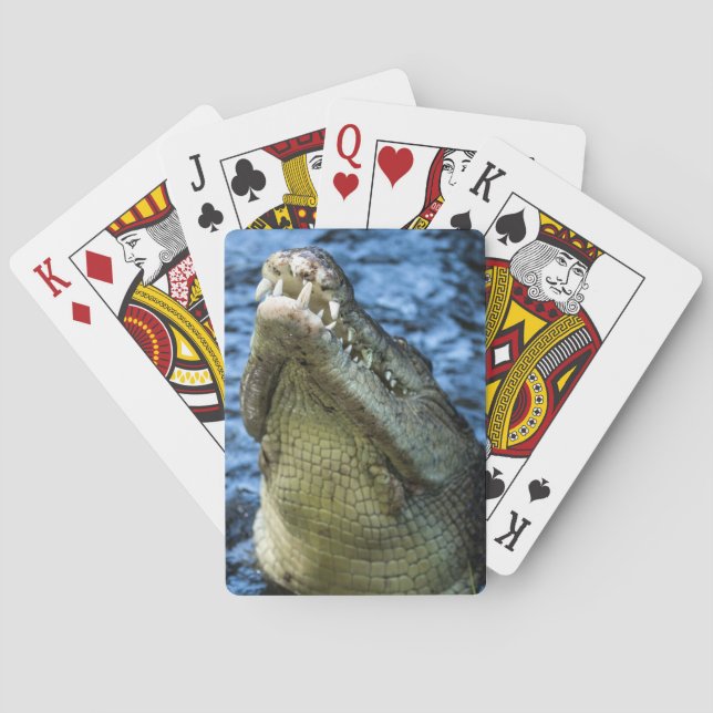 Crocodile Teeth Water Playing Cards (Back)
