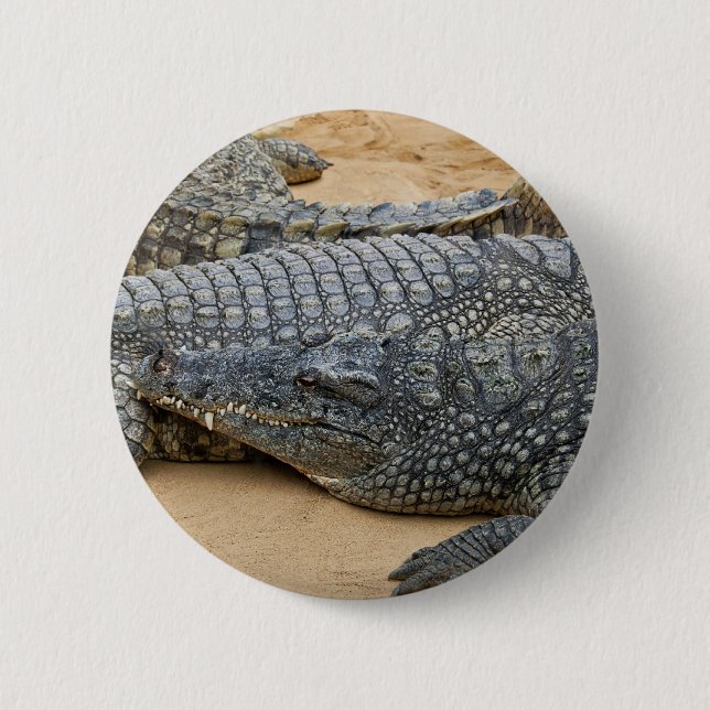 Crocodiles 6 Cm Round Badge (Front)