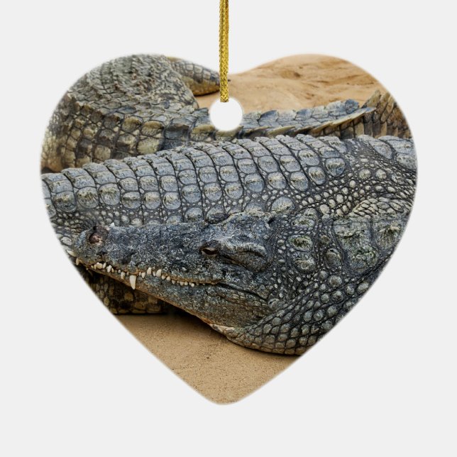 Crocodiles Ceramic Tree Decoration (Back)
