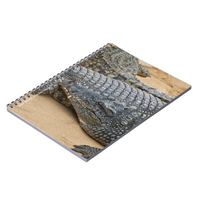 Crocodiles Notebook (Left Side)