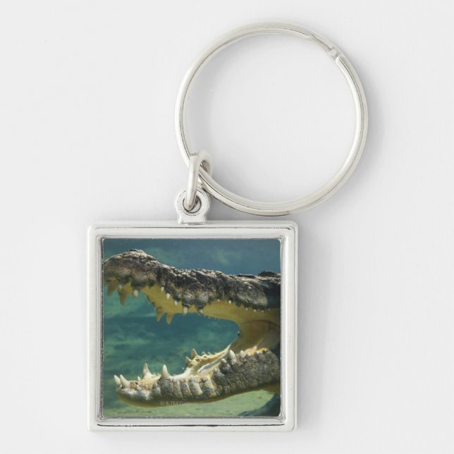 Crocodiles open mouth key ring (Front)