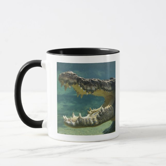 Crocodiles open mouth mug (Left)