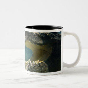 Crocodiles open mouth Two-Tone coffee mug