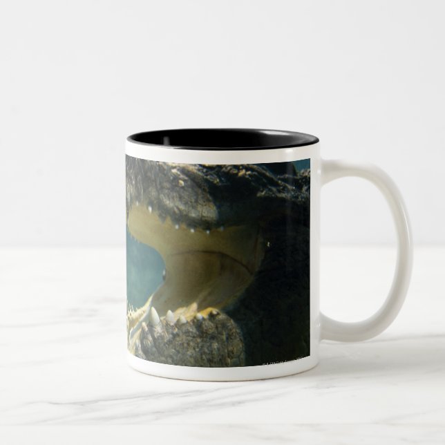 Crocodiles open mouth Two-Tone coffee mug (Right)