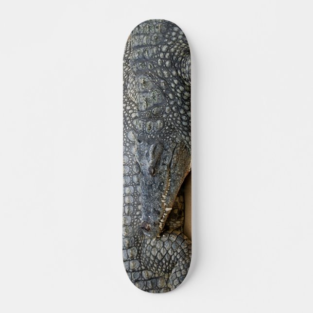 Crocodiles Skateboard (Front)