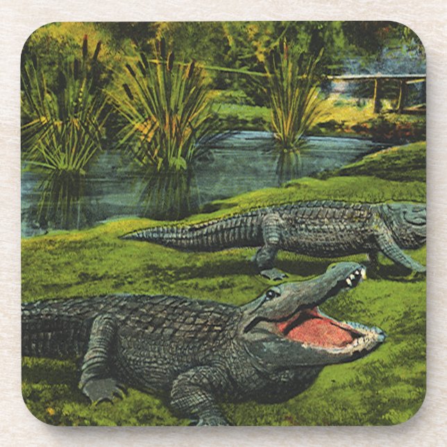 Crocodiles, Vintage Marine Life Reptiles Animals Coaster (Front)