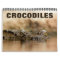 Crocodiles Wall Calendar