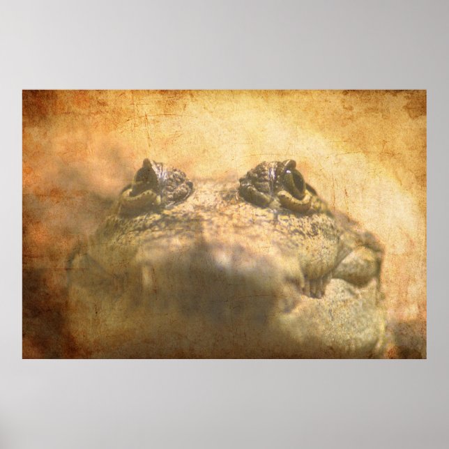 Crocodylus Moreletii Close up Poster (Front)